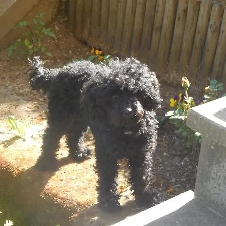 La Casetta Dei Nonni Nocleg ze śniadaniem Orvieto