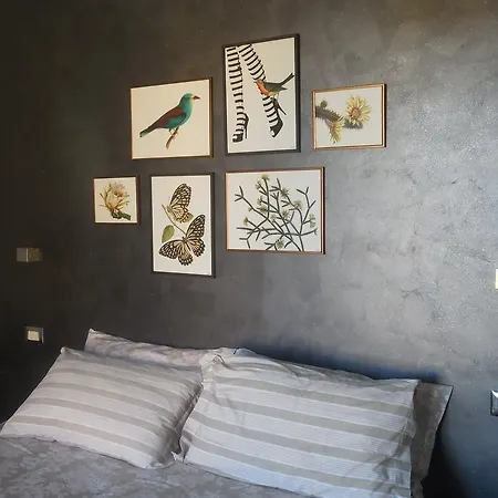 Couette-café La Casetta Dei Nonni Orvieto