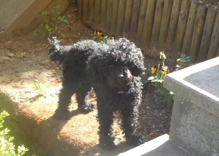 La Casetta Dei Nonni Bed & Breakfast Orvieto